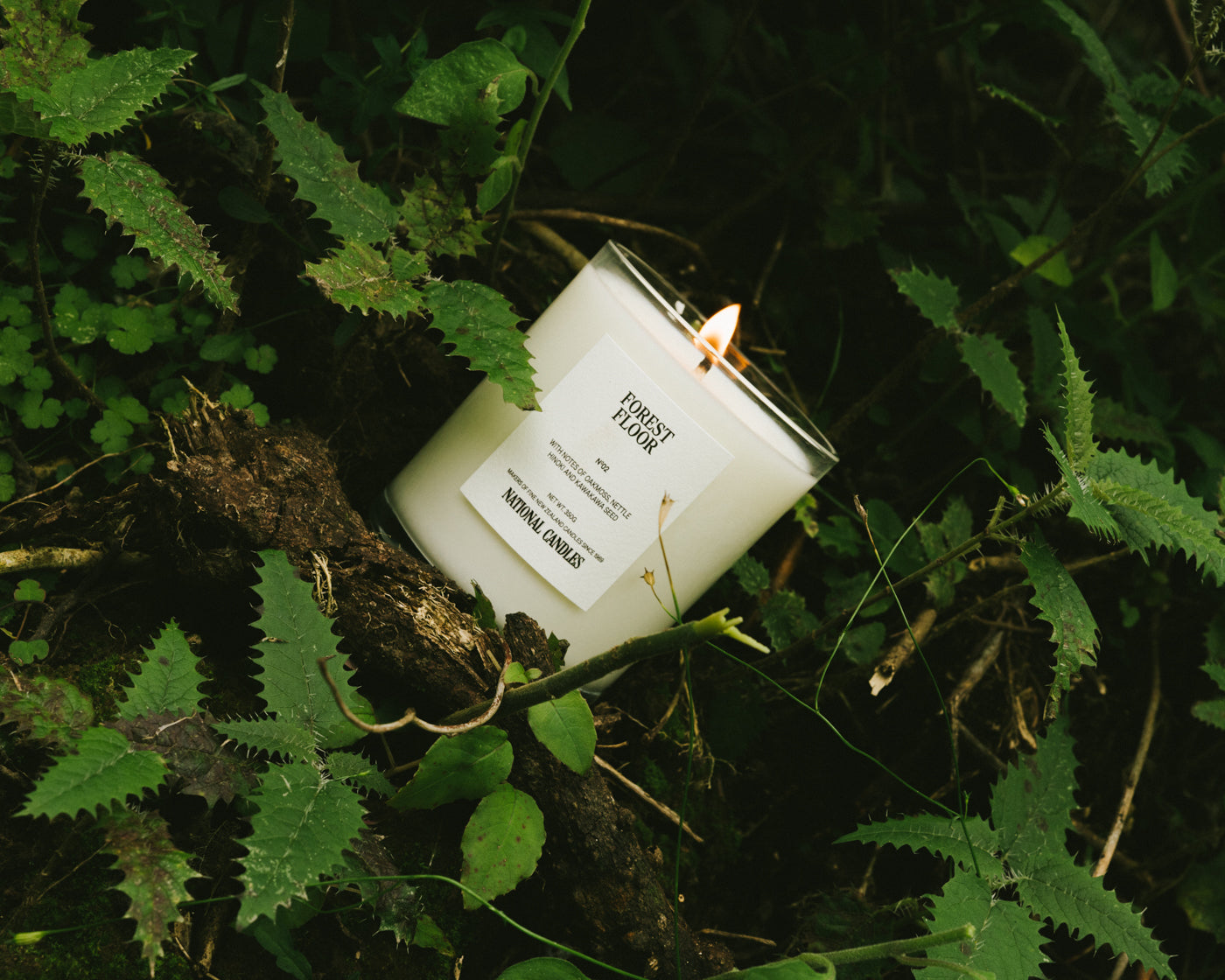 Forest Floor - Soy Candle